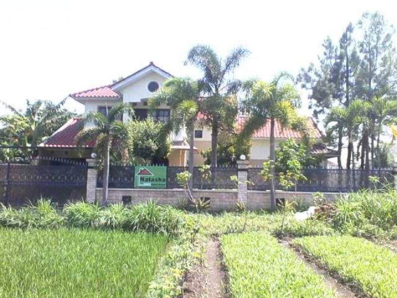 Grya Natasha Hotel Yogyakarta